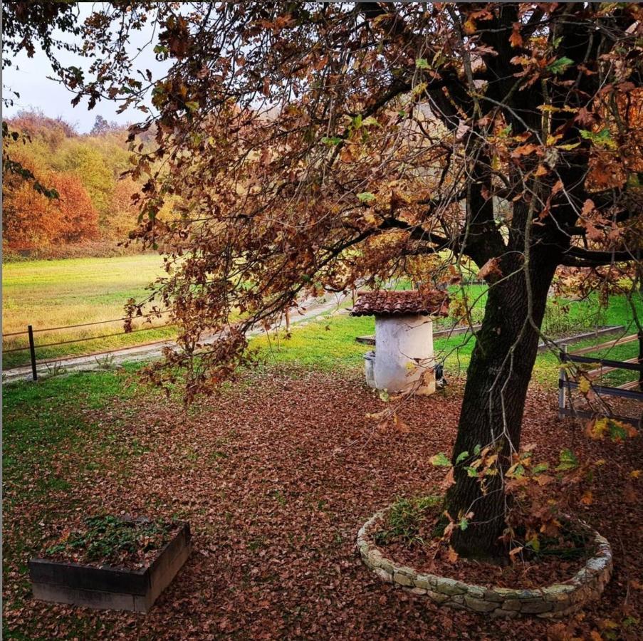 Cameloth B&B Settimo Rottaro Exterior foto